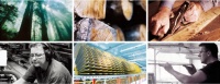 站在20年的起跑线上体会圣象力量