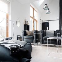 瑞典建筑师的黑白对比loft