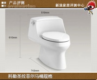 评测:高端之选 科勒“五级旋风”连体座便器