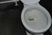 攻略：马桶选购妙招分享