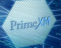 Wpex携手PrimeXM开启外汇新纪元
