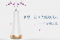 一只花瓶就能带来智能家居吗？