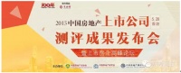 东方雨虹位列产业链上市公司5强