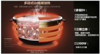 央视测评:国货单挑5000元日本电饭煲 结果是