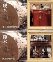 圣象全硬木基材圣象多层地板每一层都是硬木