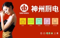 为什么市场上出现那么多仿冒神州的山寨品牌