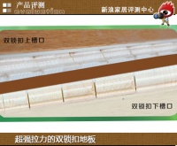 评测:环保和装饰兼得 瑞嘉地板就这么任性