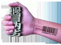 “假货”涂料扰乱市场 晨阳坚守品质阵地