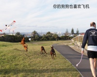 uPlane手机遥控飞机