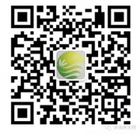 泰山灵芝孢子粉强势来袭 澳怡康蓉城掀起健康狂澜