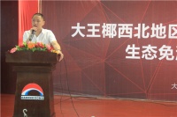 北大明宫大王椰智能生态免漆板新品发布会