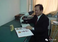 木材专家探案集之引发17年官司的荔枝树