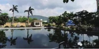 佐丹诗 夏振南