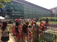 给你全家关爱 夏普健康家电家庭日活动开启