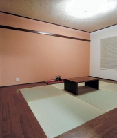居室客厅装修如何选购地面瓷砖？