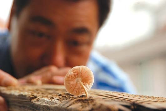 梅雨天家具“长蘑菇”让消费者很心烦
