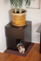那些讨猫猫狗狗喜欢的宠物家具