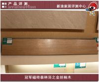 冠军磁砖“森林浴”评测  把“森林”搬回家