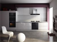 帅康微蒸烤：厨娘们的美食梦想