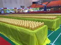 帅丰集成灶承德砍价会34单掀热潮