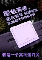 飞雕开关互联网布局 打造“类宜家”时尚风