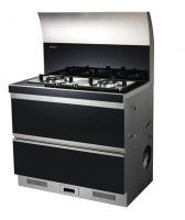 森歌集成灶引领天津蓟县家居建材直供会