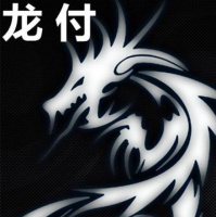 龙付支付获央行颁布第三方支付牌照