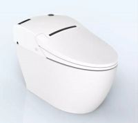 金牌卫浴智能坐便器RF3103Z介绍