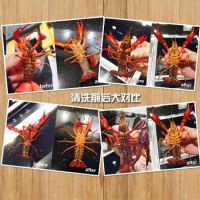 吃货必get：20分钟轻松清洗3斤小龙虾