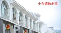 振兴发展成果：透过小布镇看江西