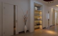 京津冀《中国好设计》设计大赛作品展示—刘禹