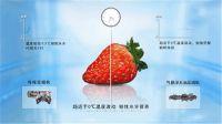 果蔬细胞放大100倍的惊人发现！别怕，有卡萨帝！