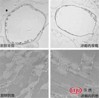 冰箱百年保鲜史遇世界级难题