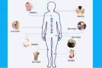 人体工学电脑椅解密，西昊办公家具受追捧