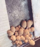 浪侃家居：劣质家具哪家强？