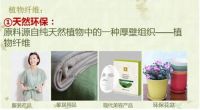 满屋墙纸竟成毒菇窝?山居涂还你一个真正自然家