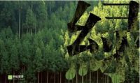 圣象集团出席国家级企业社会责任报告发布会！