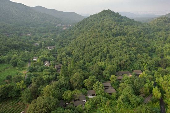 改造后的效果—— 翠绿的夏景