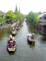 惬意昆山，夏日清茶醉了人