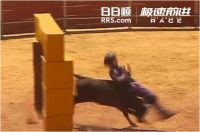杨千嬅被牛顶翻  日日顺《极速前进》进军马德里