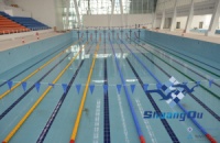 标准泳池砖规格的选择及泳道线的应用