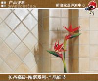 长谷瓷砖陶斯：穿越文艺复兴时期 感受古典风韵