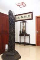 呈麟王君华：主动出击赢得终端市场