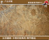 新古典风 长谷瓷砖卡塔尼亚新品评测