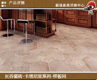 新古典风 长谷瓷砖卡塔尼亚新品评测