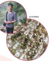 博洋家纺：绚彩新品枫丹白露