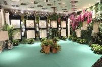 新明珠还有森林奇景，这奇景你一定没见过