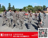 重庆尚鼎木门精英团队2015年夏季拓展训练圆满结束