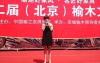 慧古今行天下 名匠木坊第二届榆木文化节