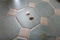 芒果瓷砖: 你想要的,我都能给